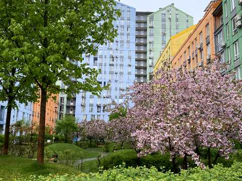 Квартира на вул. Соборності просп. , 17 к2 в Києві, ID 282208, фото №70