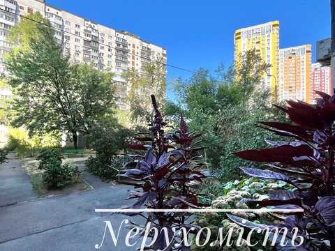 Квартира на вул. Пантелеймона Куліша, 11 в Києві, ID 283729, фото №20