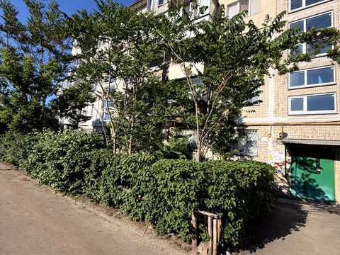 Квартира на просп. Алішера Навої, 78 в Києві, ID 284191, фото №12