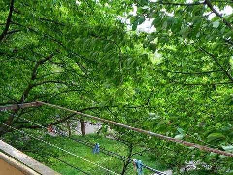Квартира на вул. Олександра Довженка, 7-Б в Івано-Франківську, ID 284361, фото №10
