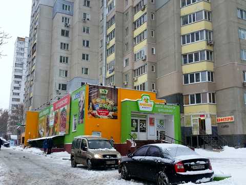 Квартира на вул. Якуба Коласа, 2 в Києві, ID 284855, фото №12