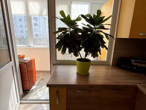 Квартира на вул. Йосифа Сліпого, 26 в Івано-Франківську, ID 288707, фото №19