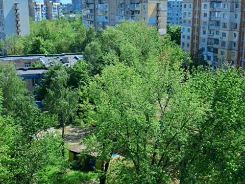 Квартира на вул. Рональда Рейгана, 10 в Києві, ID 289445, фото №8