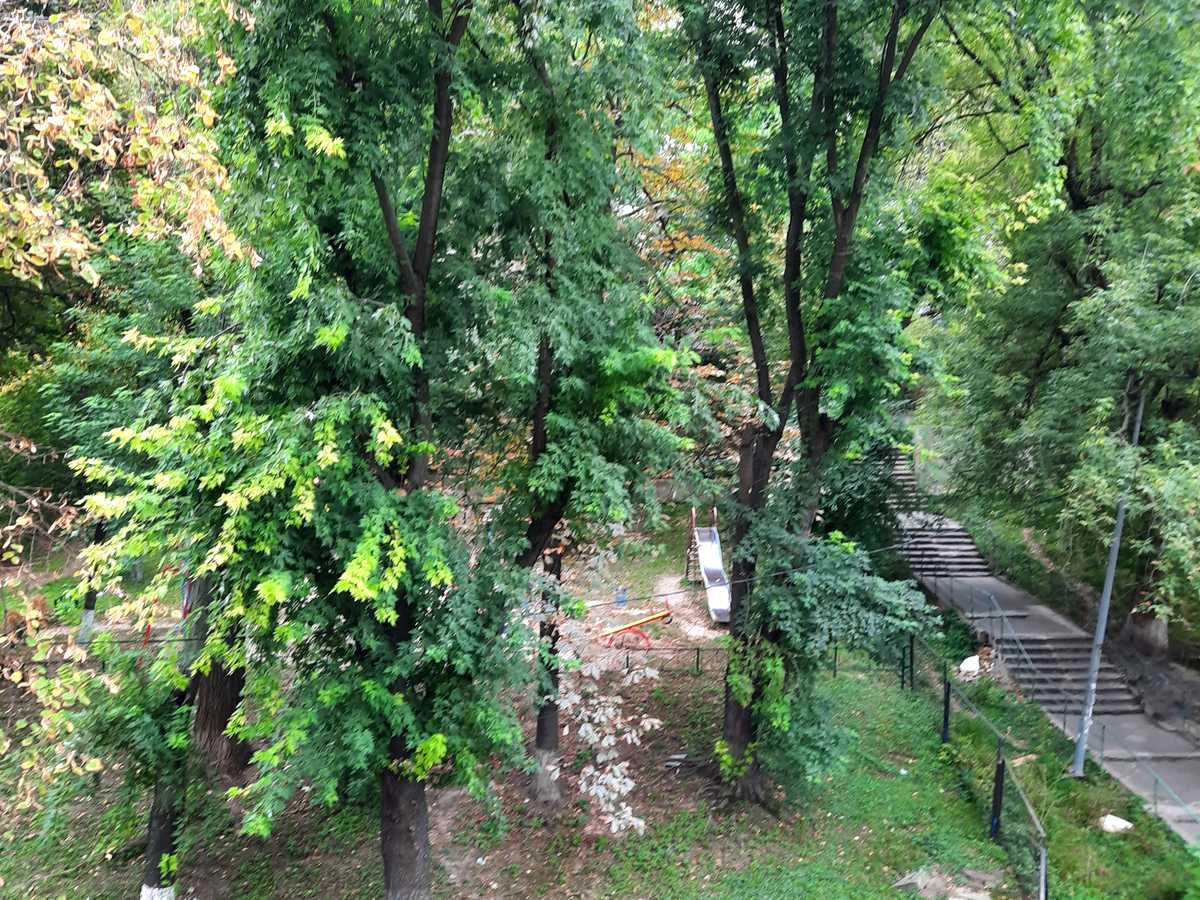 Квартира на вул. Мечникова вул. , 10/2 в Києві, ID 297351, фото №17