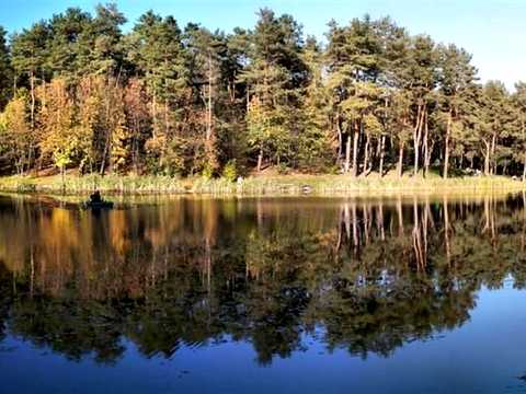 Квартира на вул. Саперно-Слобідська, 22 в Києві, ID 298140, фото №22
