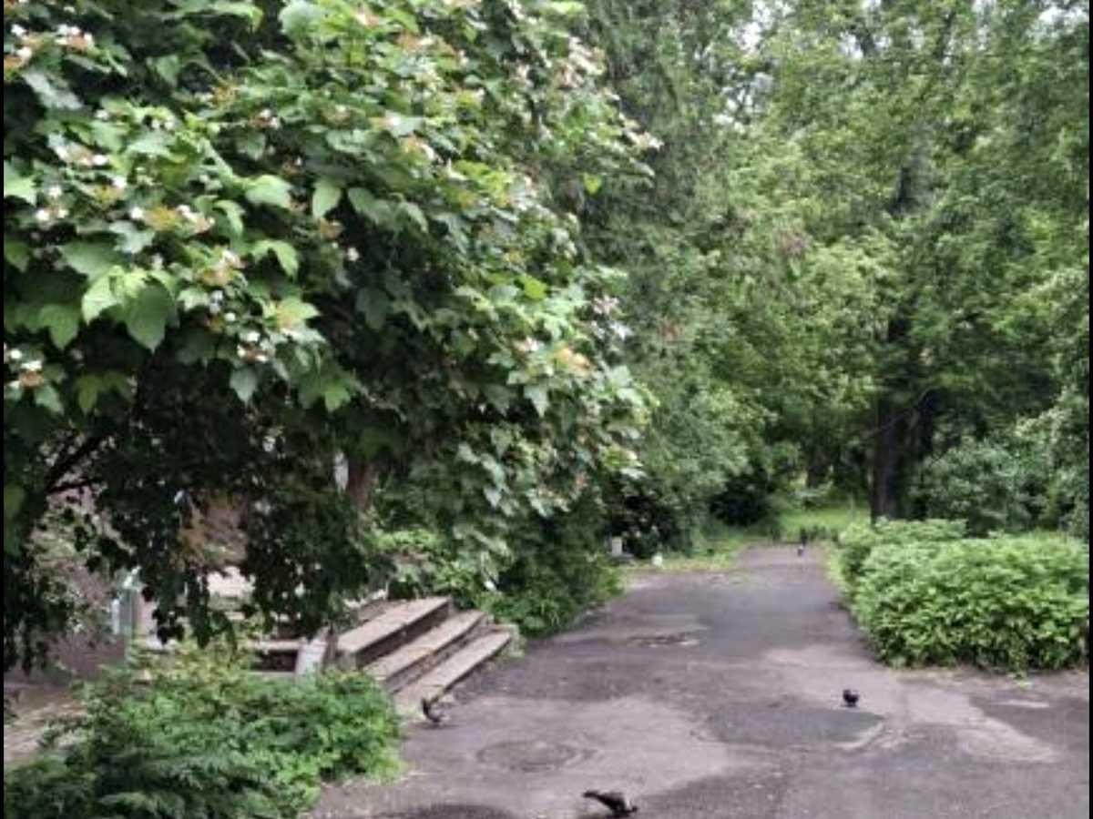 Квартира на вул. Генерала Генадія Воробйова вул. , 4/1 в Києві, ID 301697, фото №5