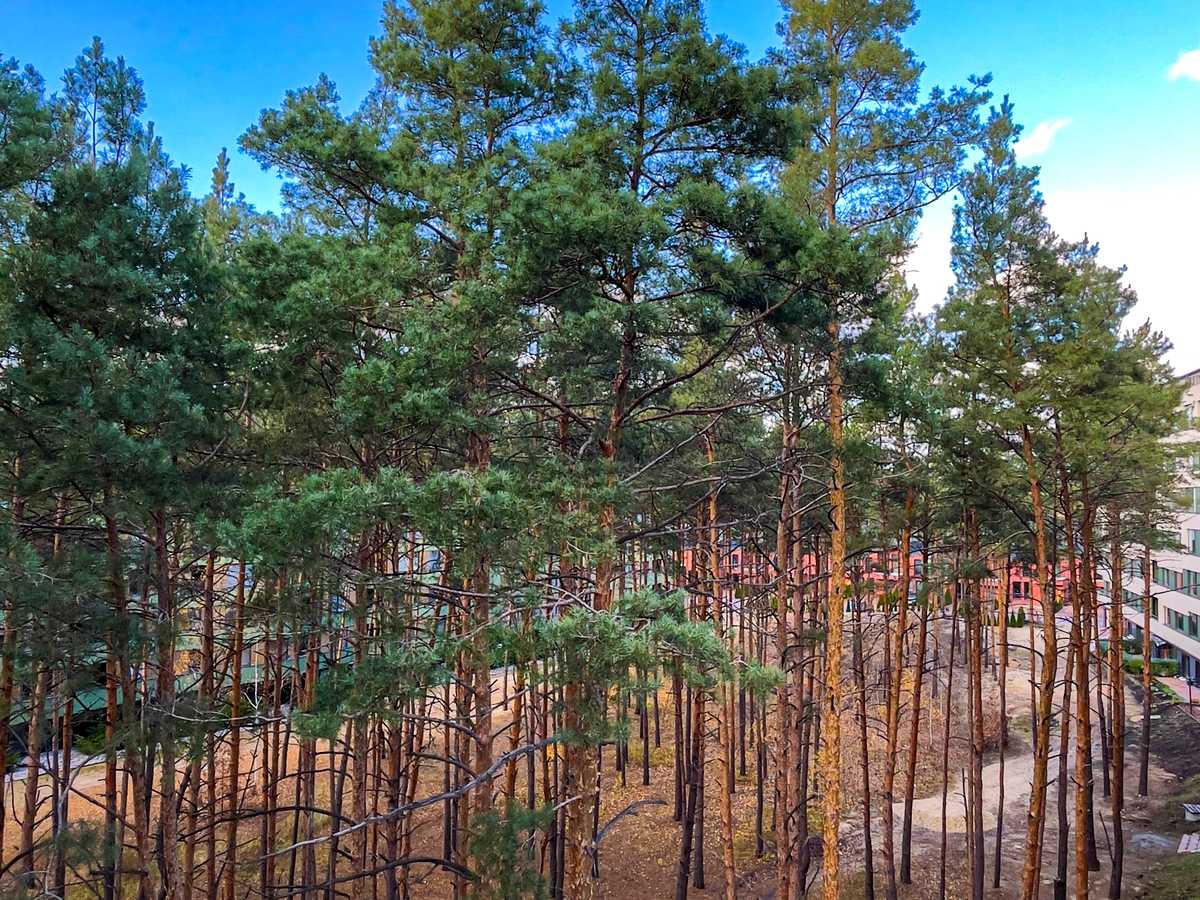Квартира на пров. Богдана Ступки, 3 в Києві, ID 313373, фото №13