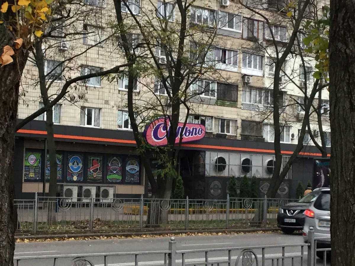 Квартира на бул. Русанівський, 11 в Києві, ID 300730, фото №23