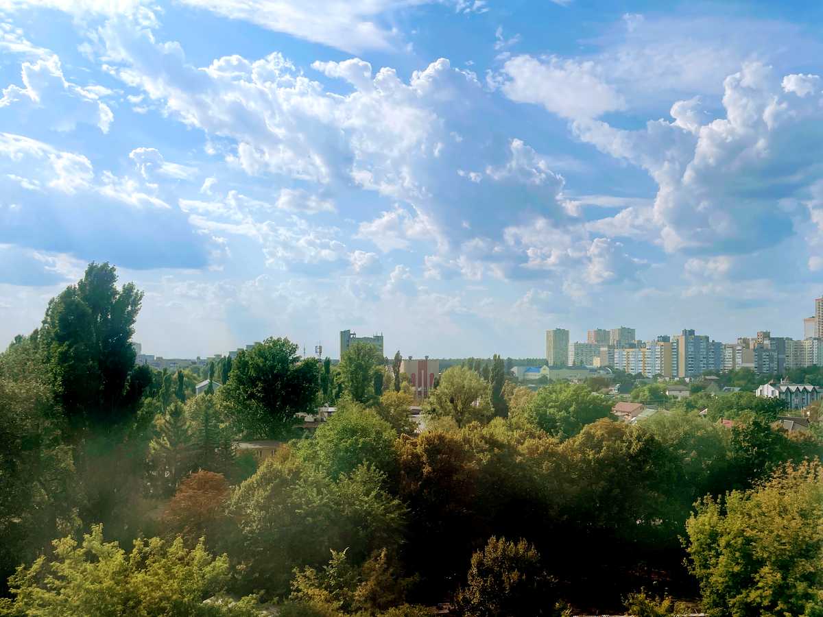 Квартира на вул. Олега Мудрака, 1-Б в Києві, ID 307410, фото №7
