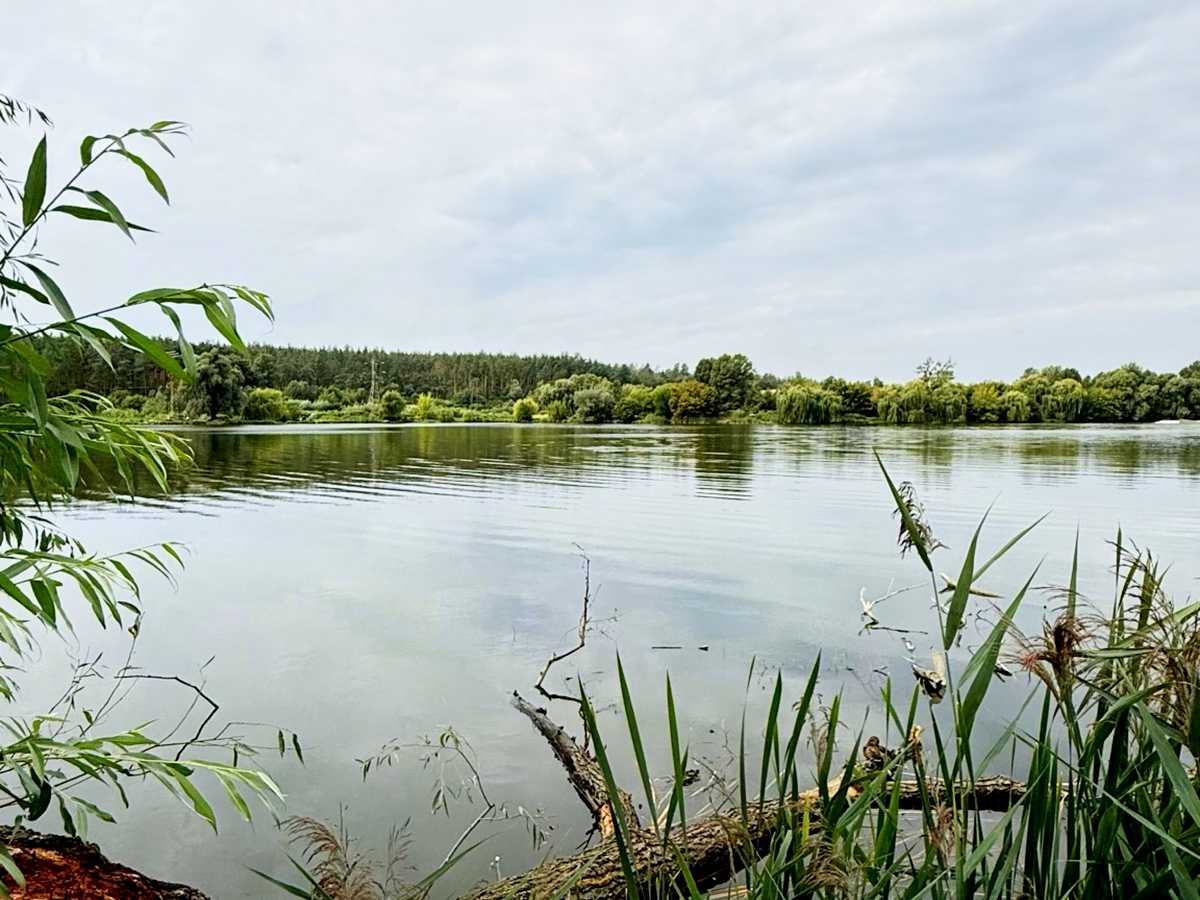 Квартира на вул. Верховинна, 80-А в Києві, ID 301492, фото №11