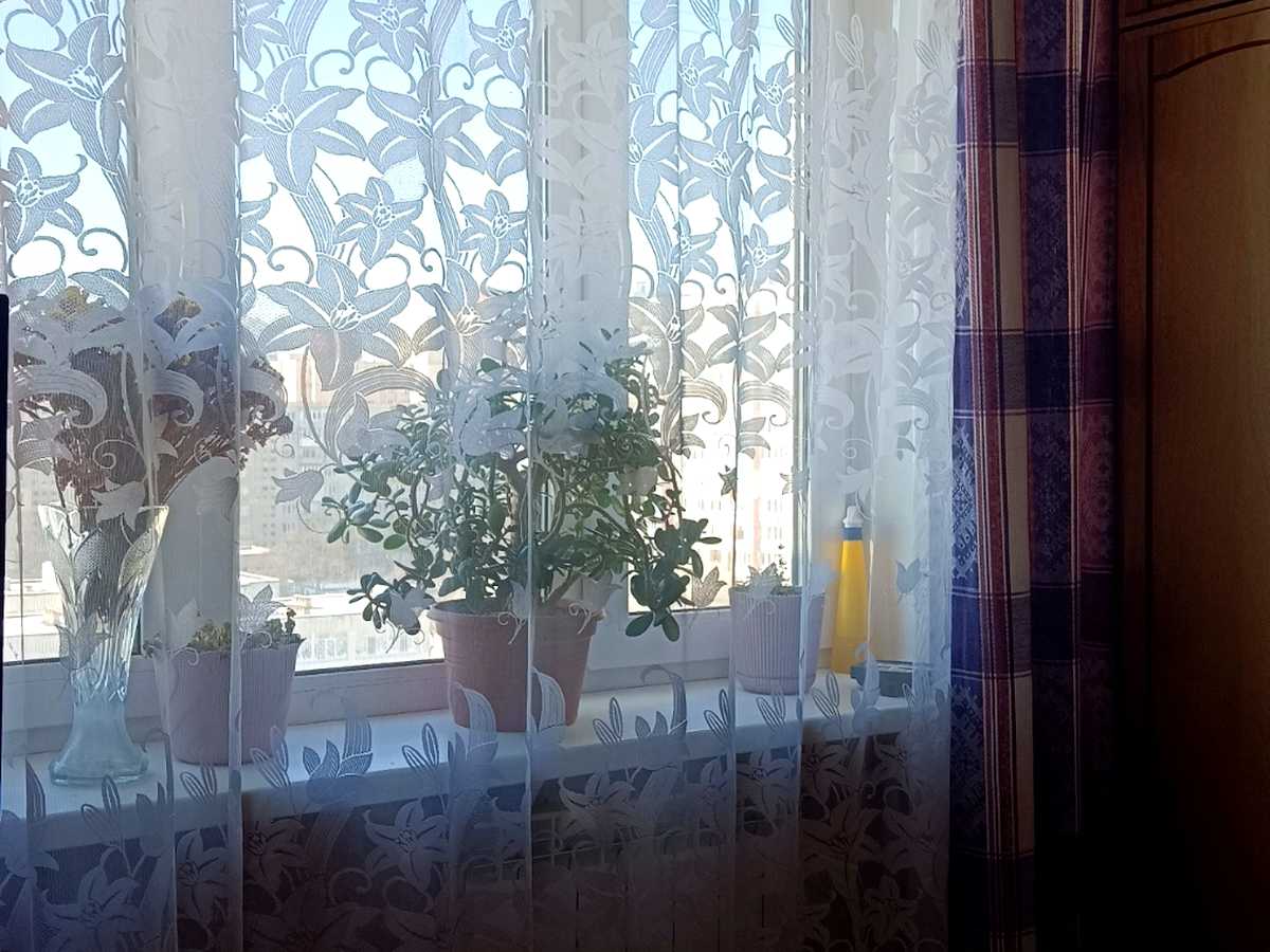 Квартира на вул. Олександра Архипенка, 8-Б в Києві, ID 302906, фото №13