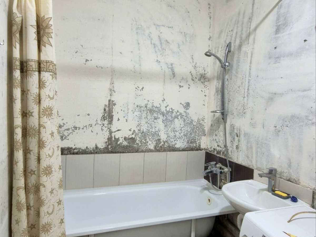 Квартира на вул. Краківська, 13-А в Києві, ID 303260, фото №11
