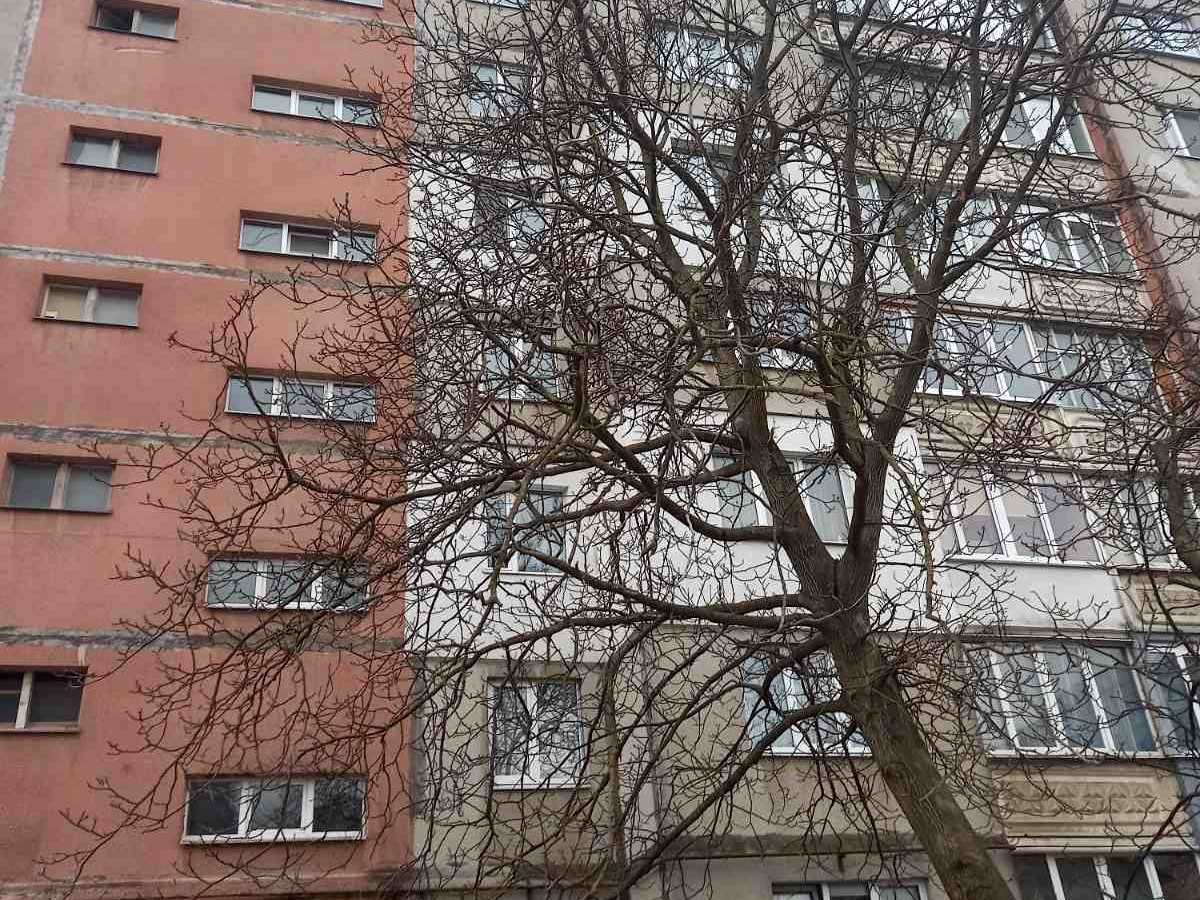 Квартира на вул. Івана Павла II, 30 в Івано-Франківську, ID 303627, фото №2