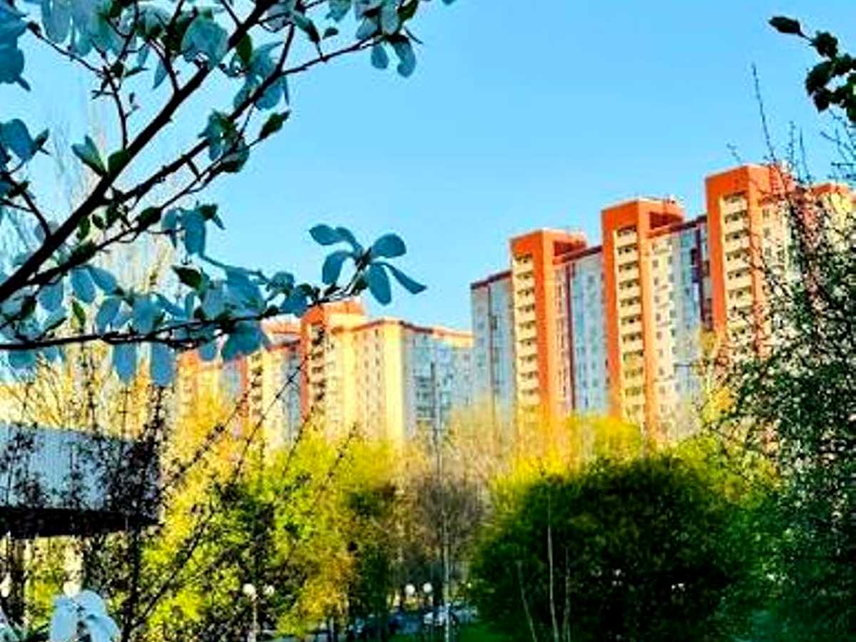 Квартира на вул. Миколи Василенка, 13 в Києві, ID 313592, фото №16