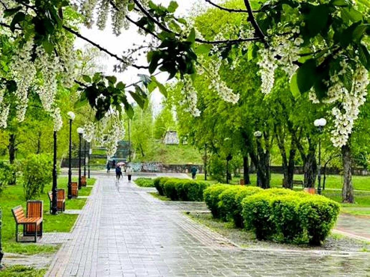 Квартира на вул. Миколи Василенка, 13 в Києві, ID 313592, фото №17