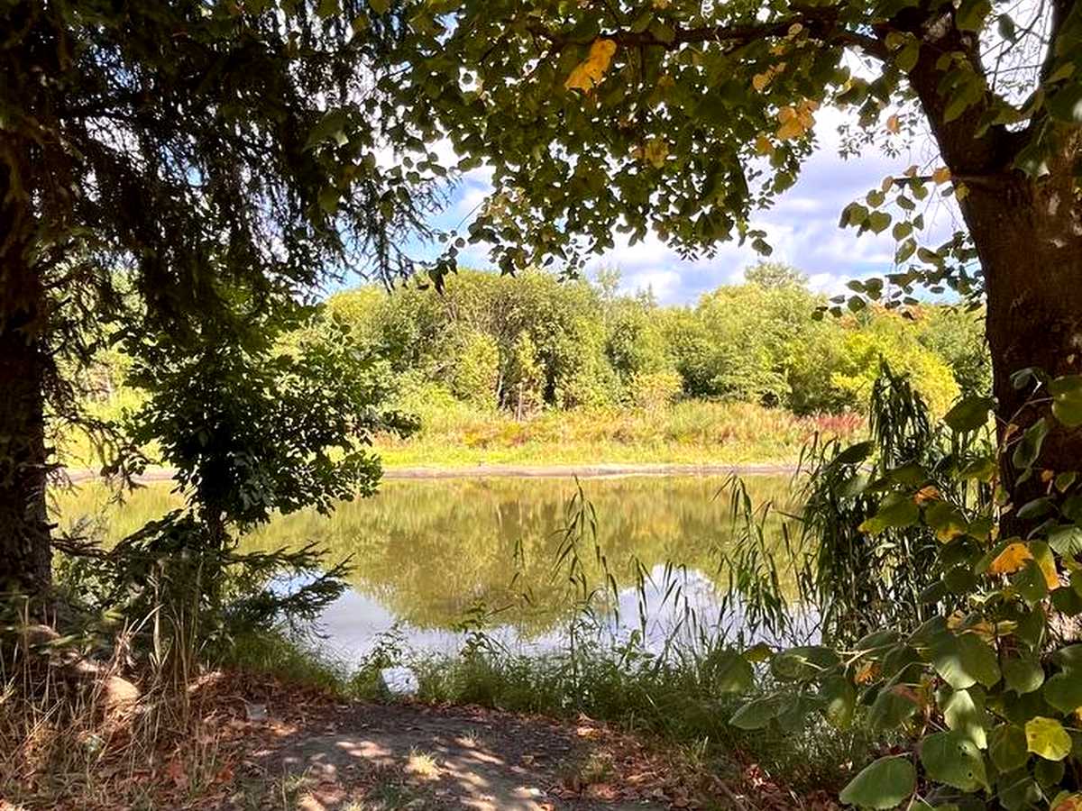 Квартира на вул. Карла Мікльоша, 43 в Львів, ID 322926, фото №2