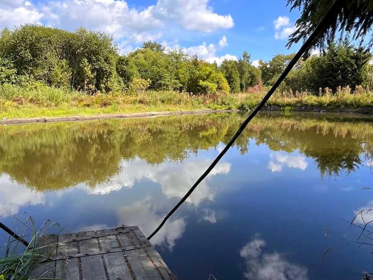 Квартира на вул. Карла Мікльоша, 43 в Львові, ID 322926, фото №23