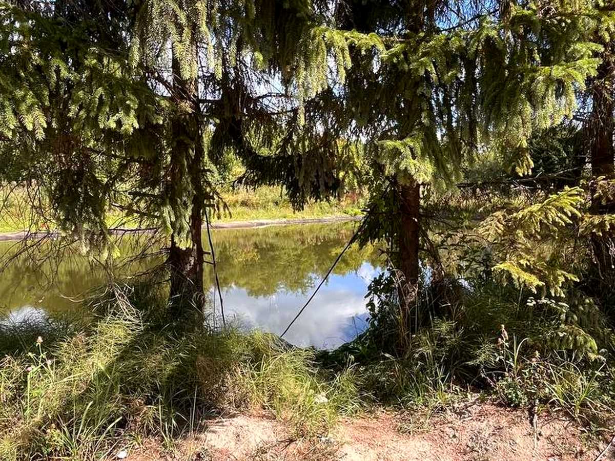 Квартира на вул. Карла Мікльоша, 43 в Львові, ID 322926, фото №25