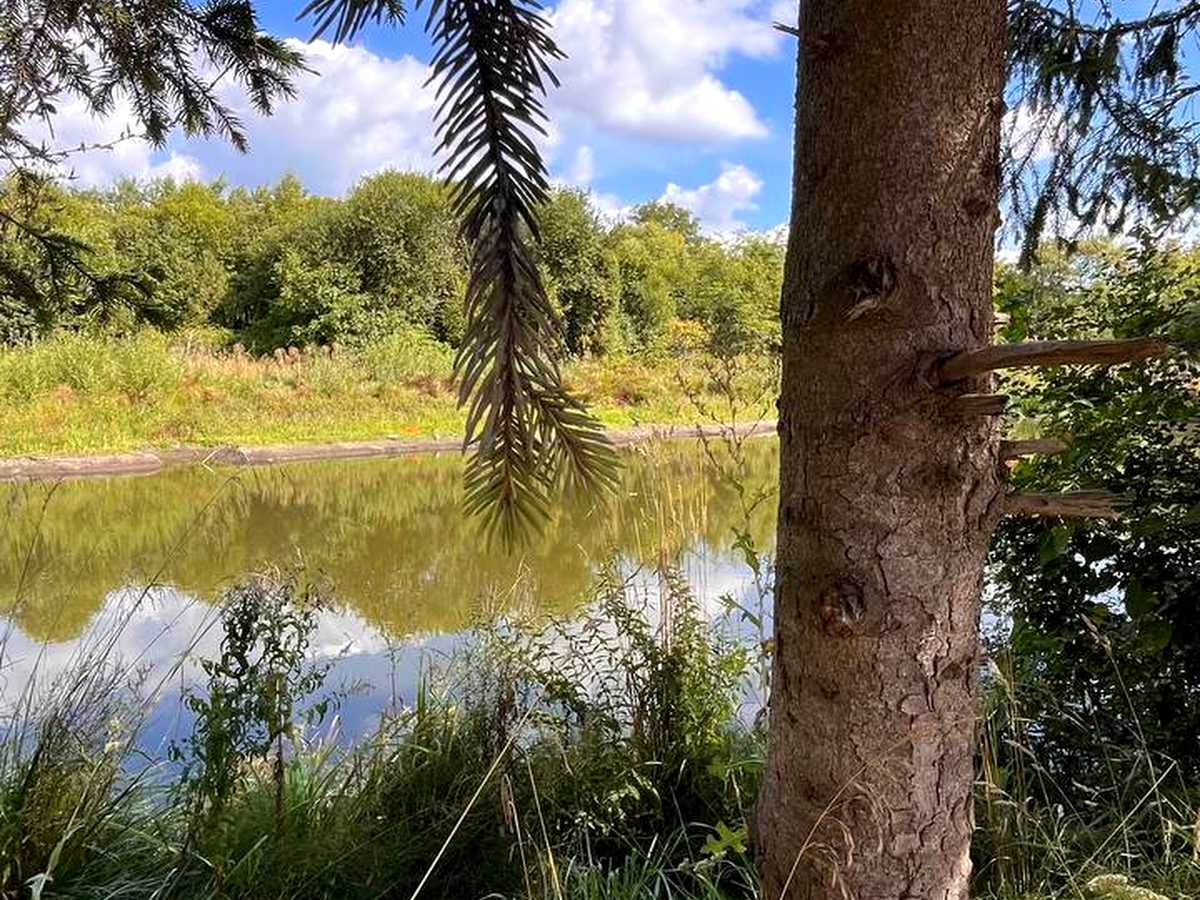 Квартира на вул. Карла Мікльоша, 43 в Львові, ID 322926, фото №26