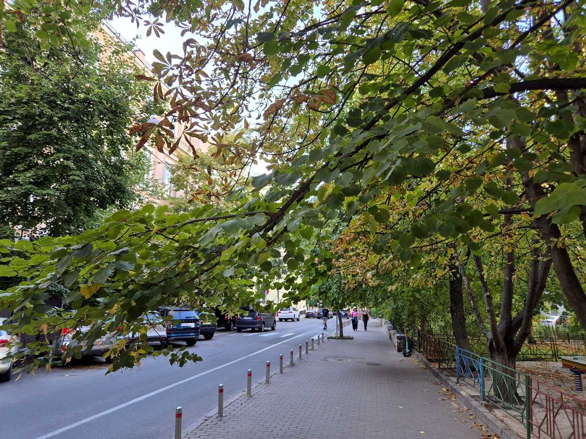 Квартира на вул. Рейтарська, 34 в Києві, ID 395231, фото №22
