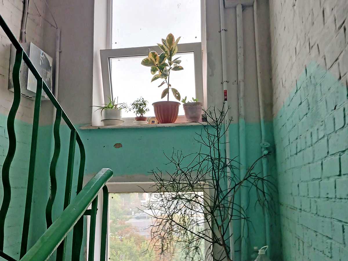 Квартира на просп. Соборності, 24 в Києві, ID 325637, фото №15