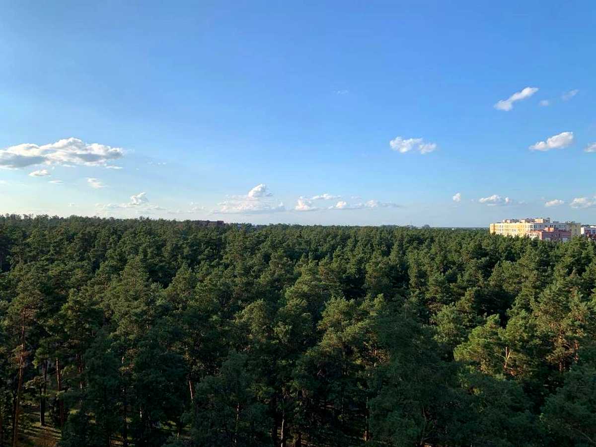 Квартира на вул. Університетська, 3/7 в Київ, ID 320980, фото №5