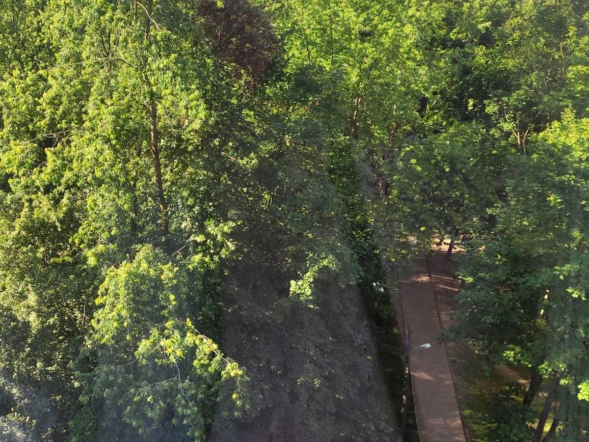 Квартира на вул. Наукова, 57 в Львові, ID 316354, фото №7