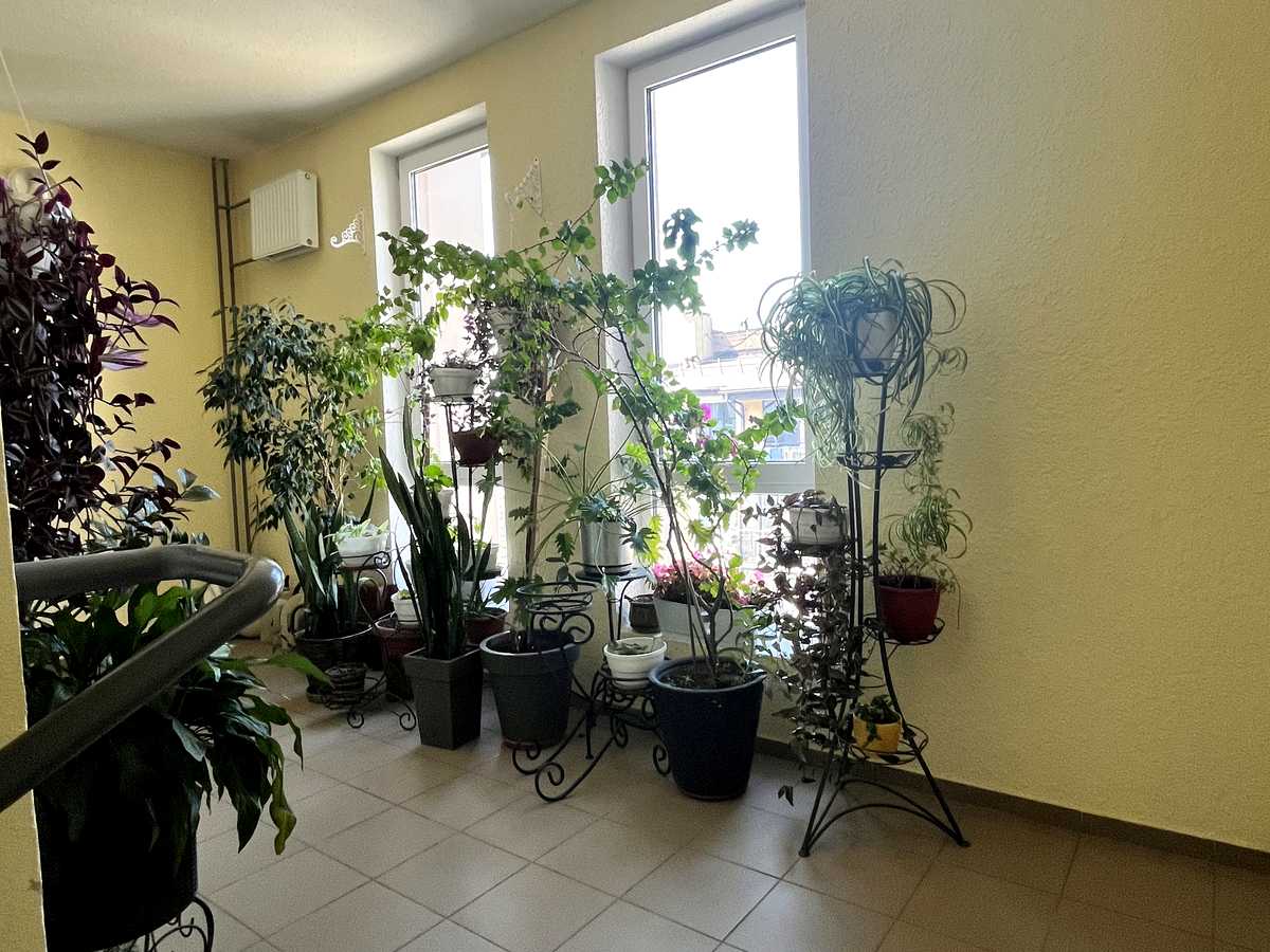 Квартира на вул. Метрологічна, 54-А в Києві, ID 319005, фото №21