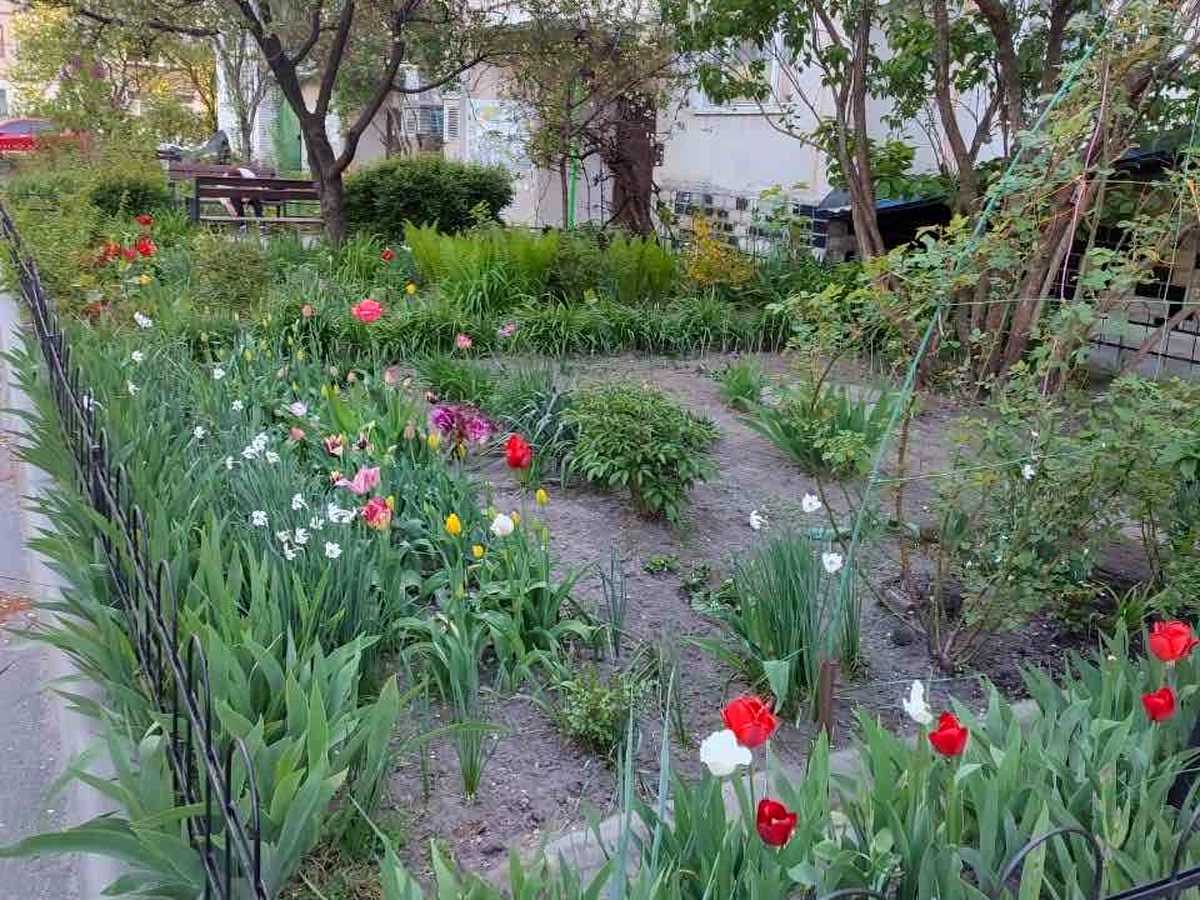 Квартира на вул. Кургузова, 2 в Києві, ID 388281, фото №19