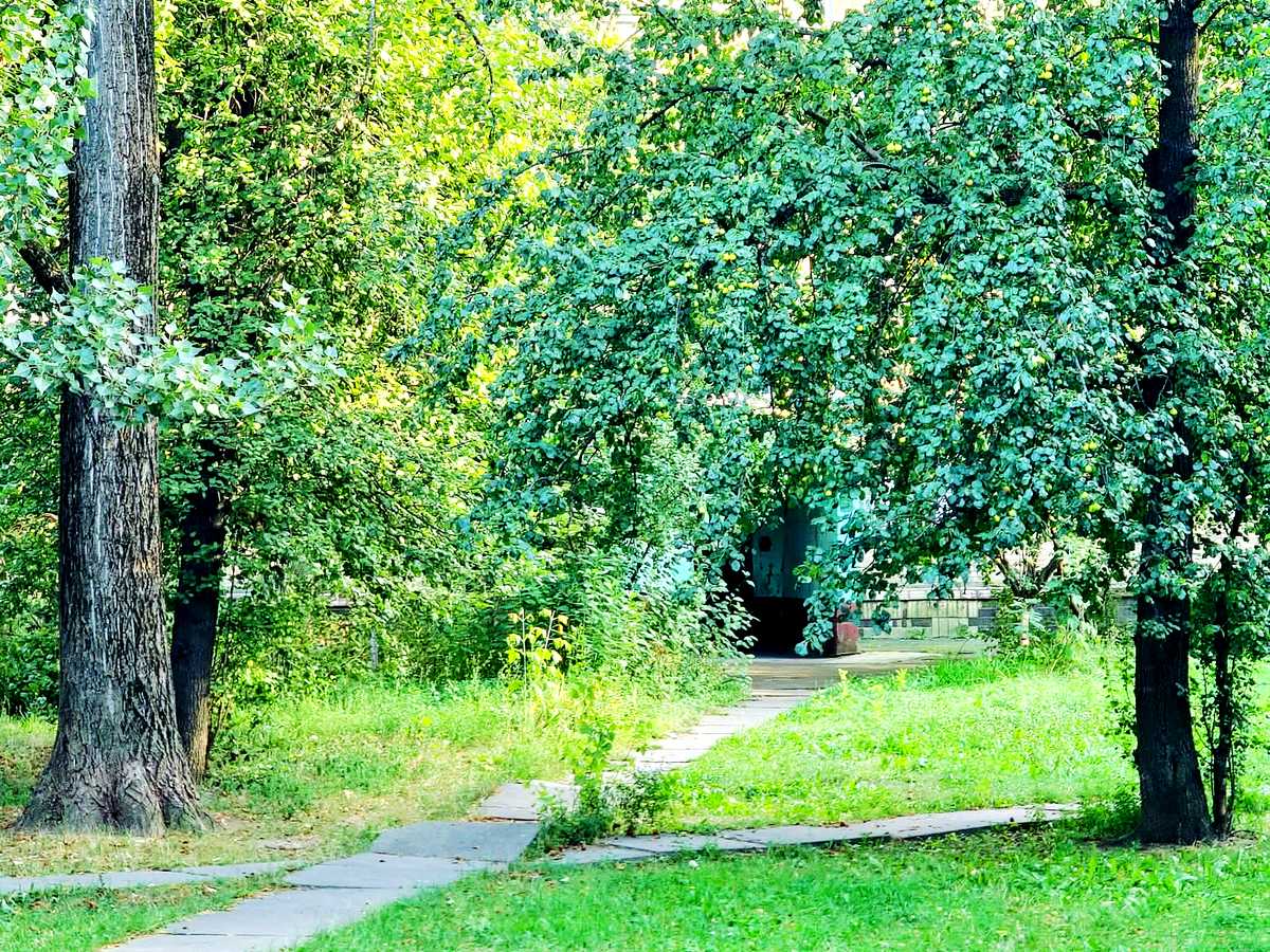 Квартира на просп. Любомира Гузара, 9-А в Київ, ID 324903, фото №5