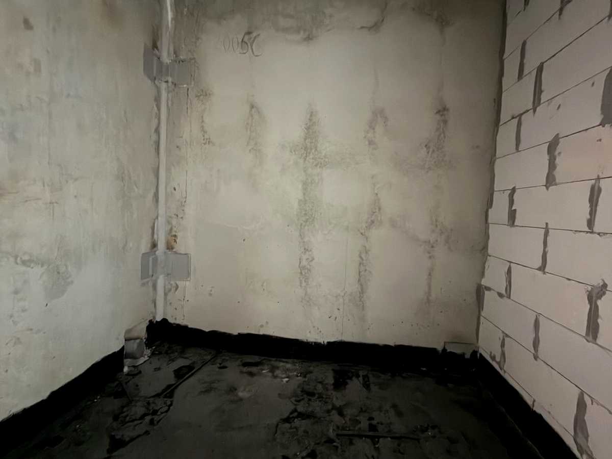 Квартира на вул. Михайла Максимовича, 24-Г в Київ, ID 325571, фото №1