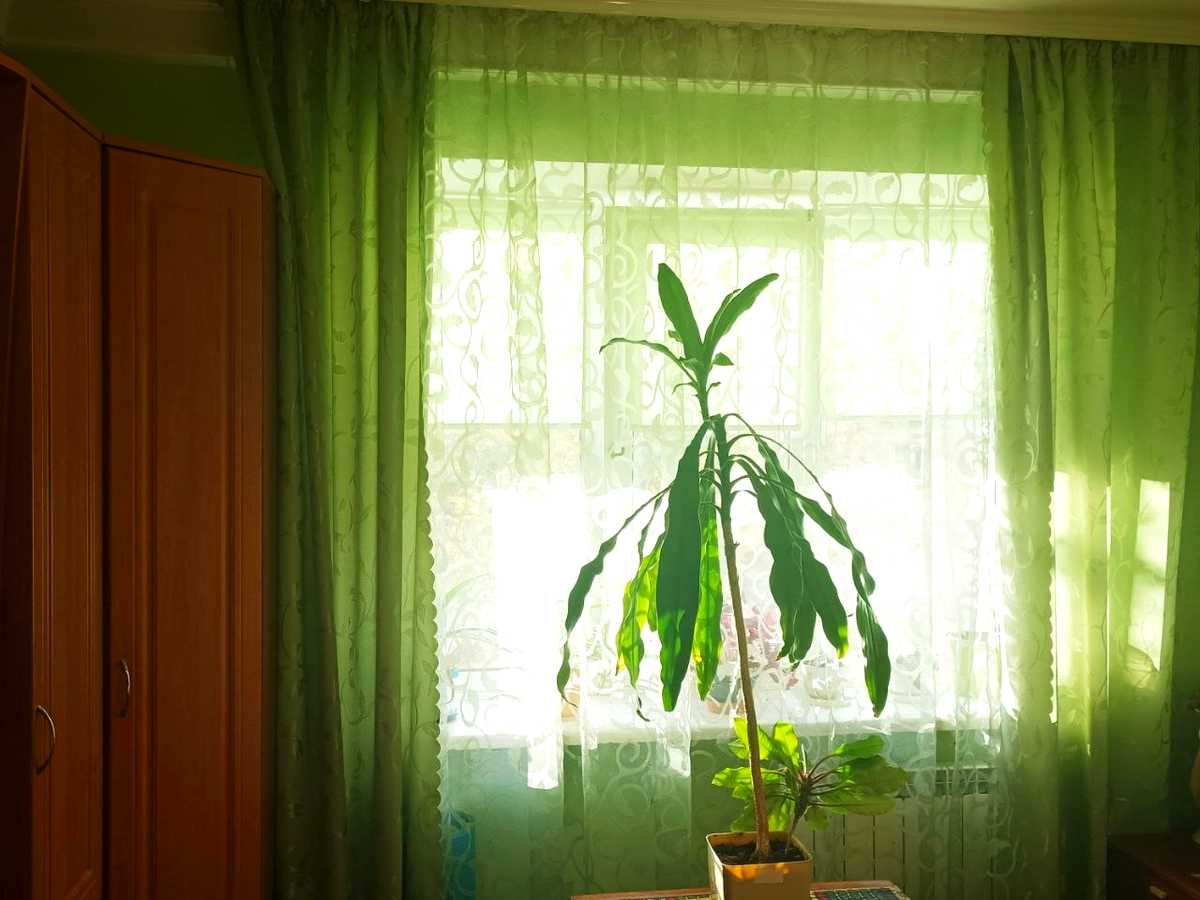 Квартира на вул. Ентузіастів, 17 в Києві, ID 328804, фото №7