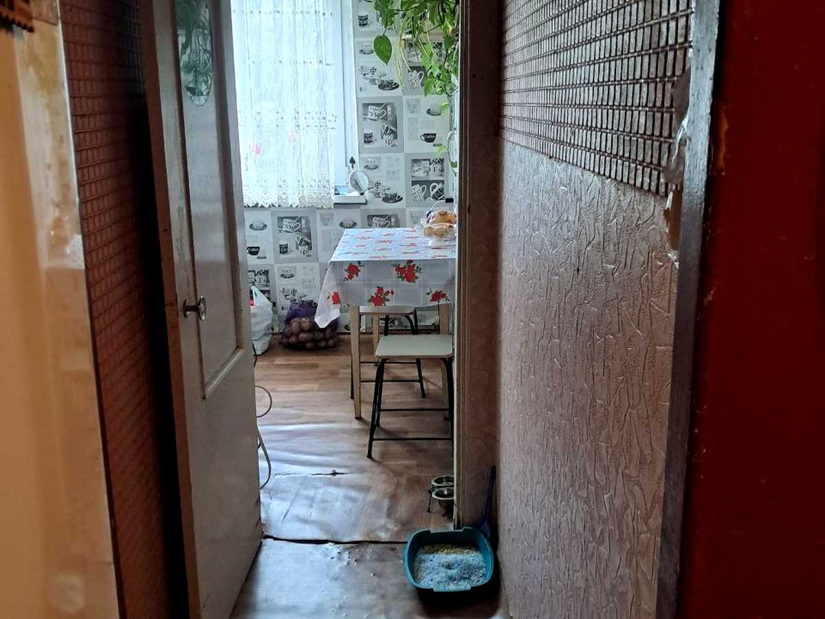 Квартира на вул. Мрії, 7 в Київ, ID 326773, фото №5
