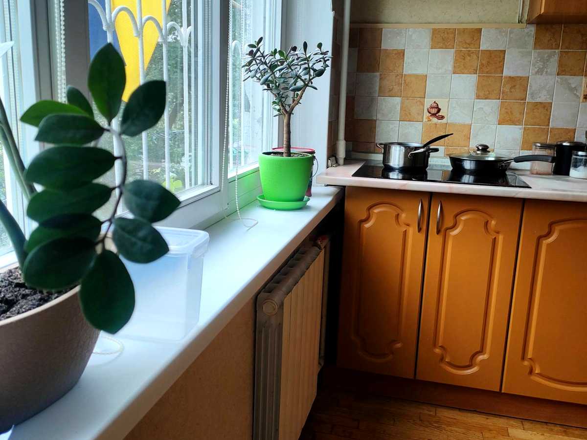Квартира на просп. Оболонський, 39-А в Києві, ID 326962, фото №8