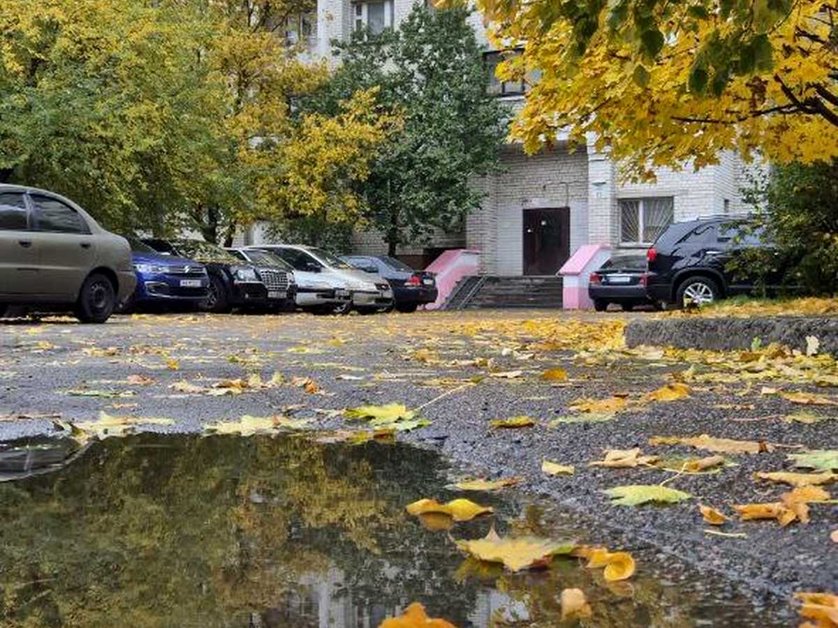 Квартира на вул. Михайла Котельникова, 13 в Києві, ID 327057, фото №13