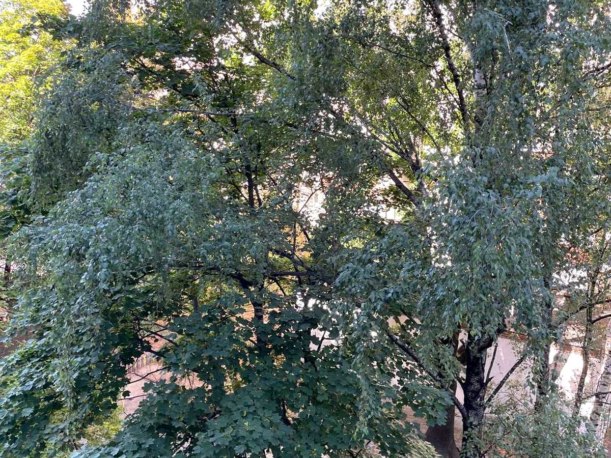 Квартира на вул. Златопільська, 4-К в Києві, ID 327655, фото №40
