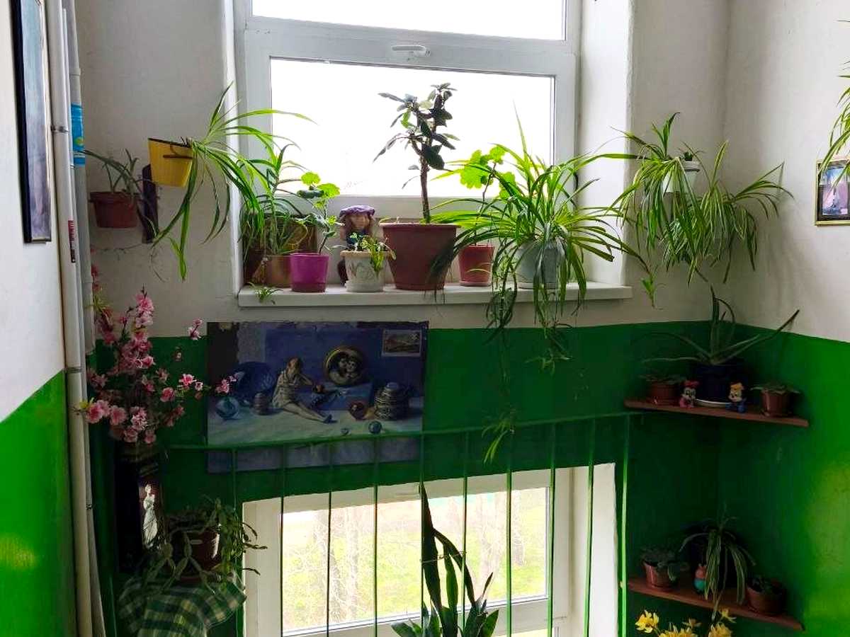 Квартира на вул. Шевченка, 112А в Чернігові, ID 388697, фото №17