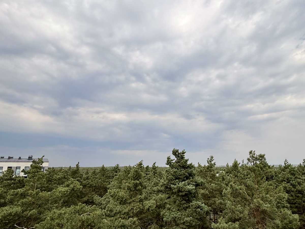 Квартира на пров. Богдана Ступки, 3 в Києві, ID 388264, фото №21