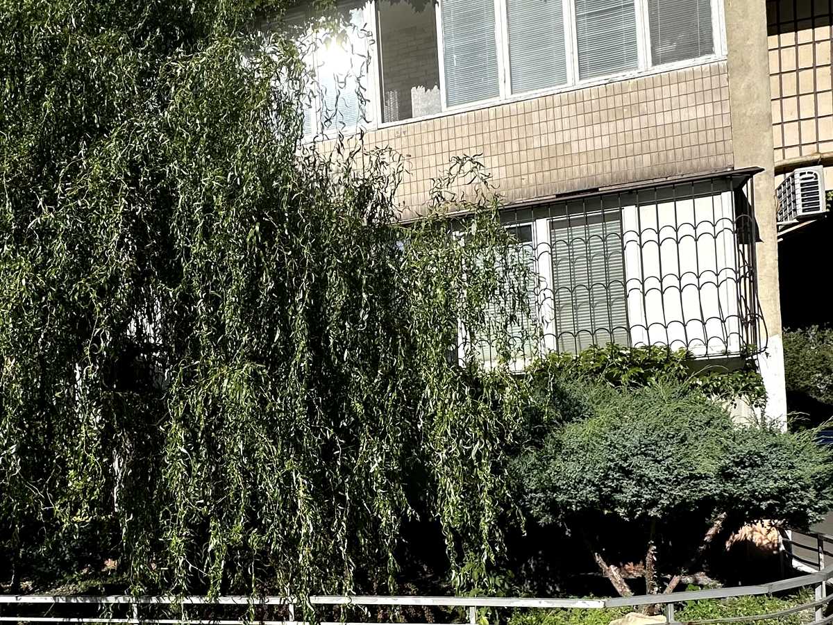 Квартира на вул. Тростянецька, 6-Ж в Київ, ID 338786, фото №4