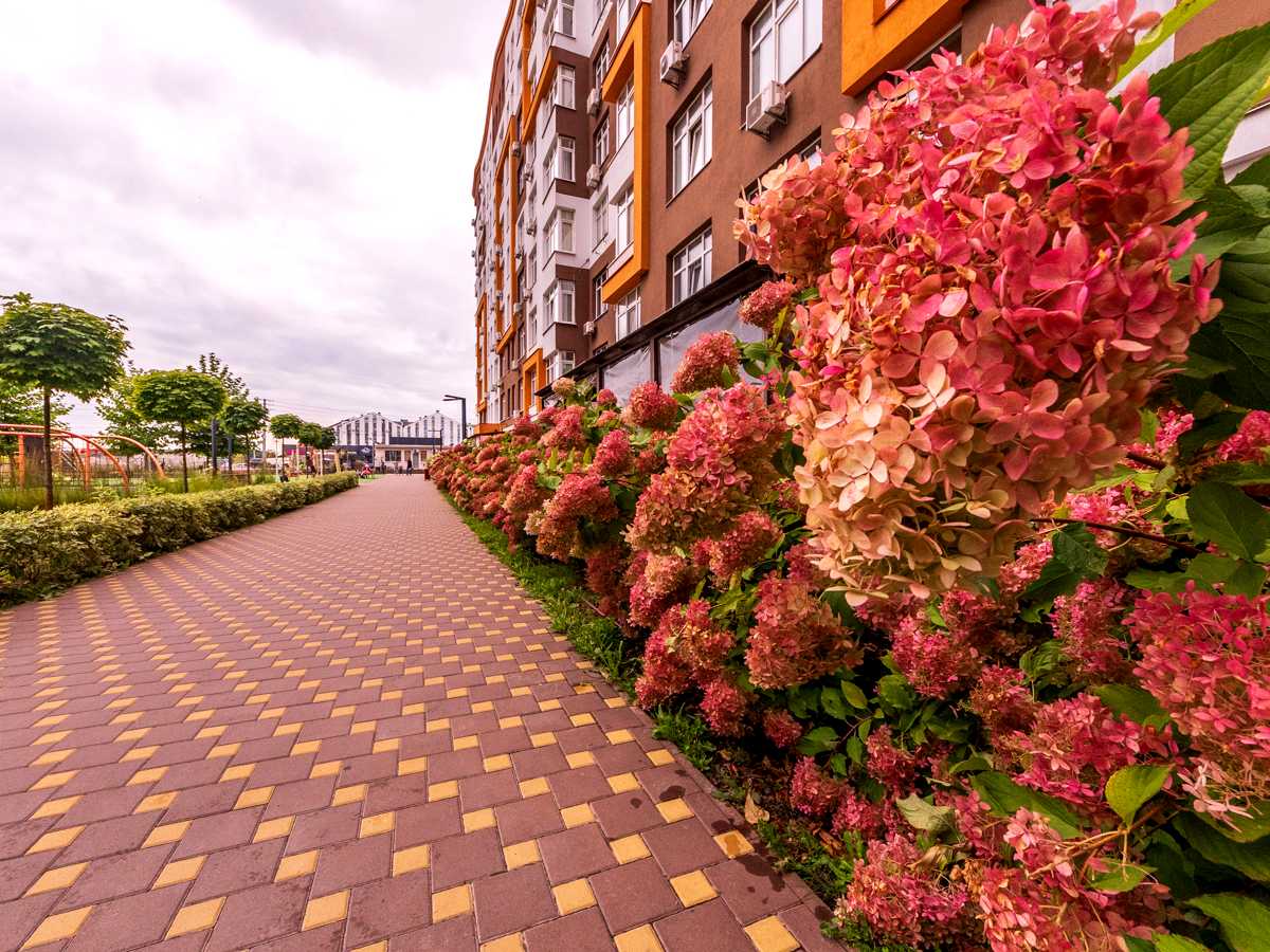 Квартира на вул. Одеська, 25-В в Києві, ID 339022, фото №24