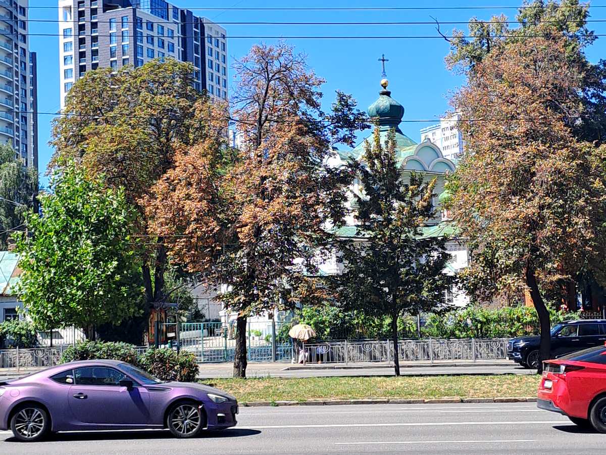 Квартира на просп. Голосіївський, 19 в Києві, ID 462049, фото №17