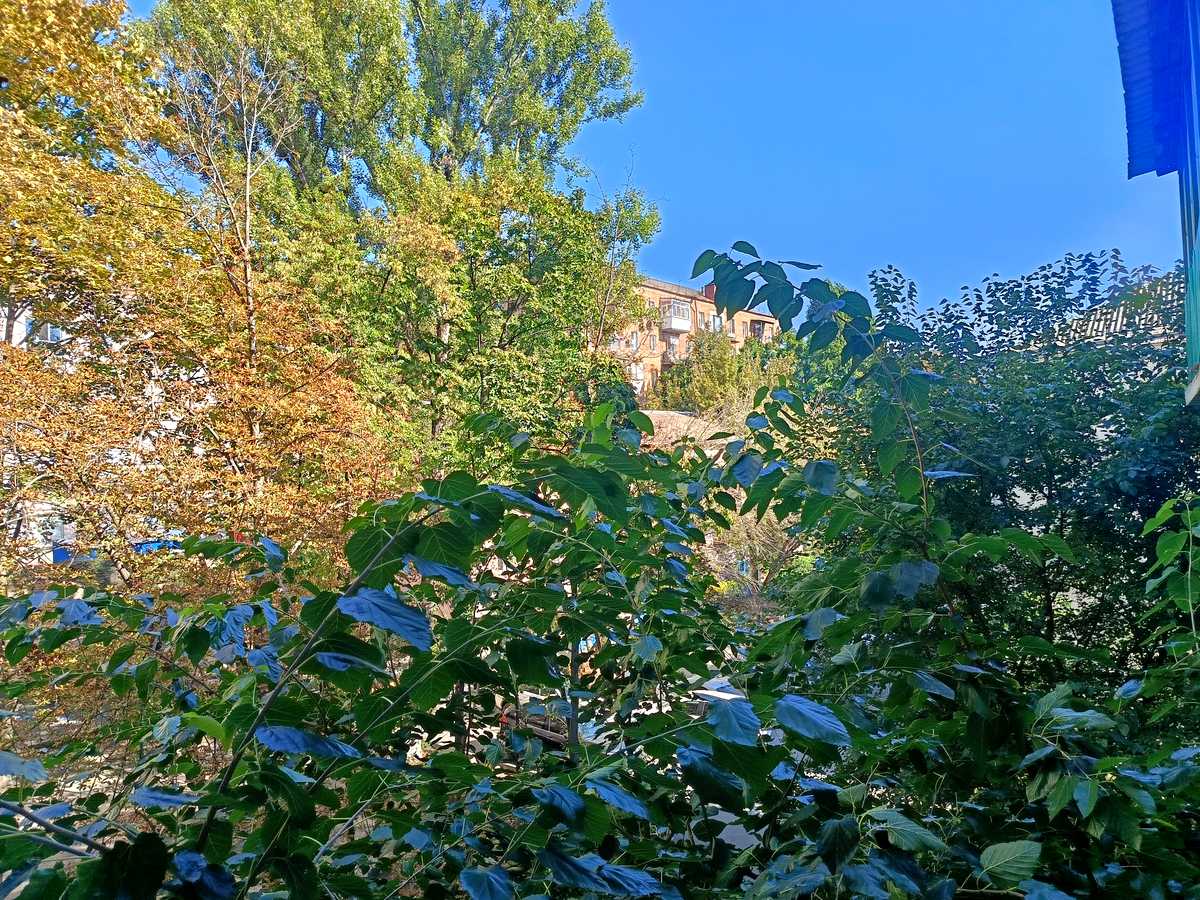 Квартира на вул. Паньківська, 19 в Києві, ID 350570, фото №8