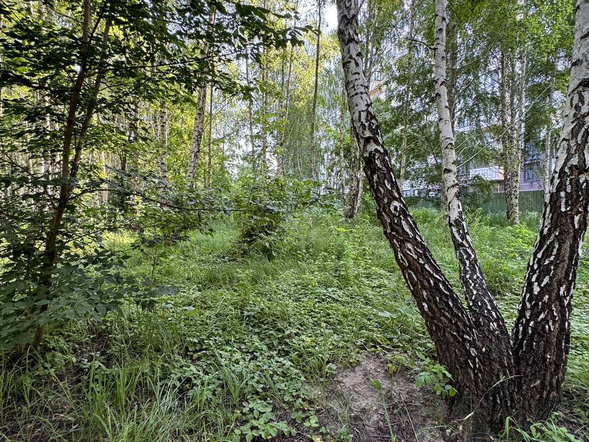 Квартира на вул. Відродження, 3 в Києві, ID 388255, фото №5
