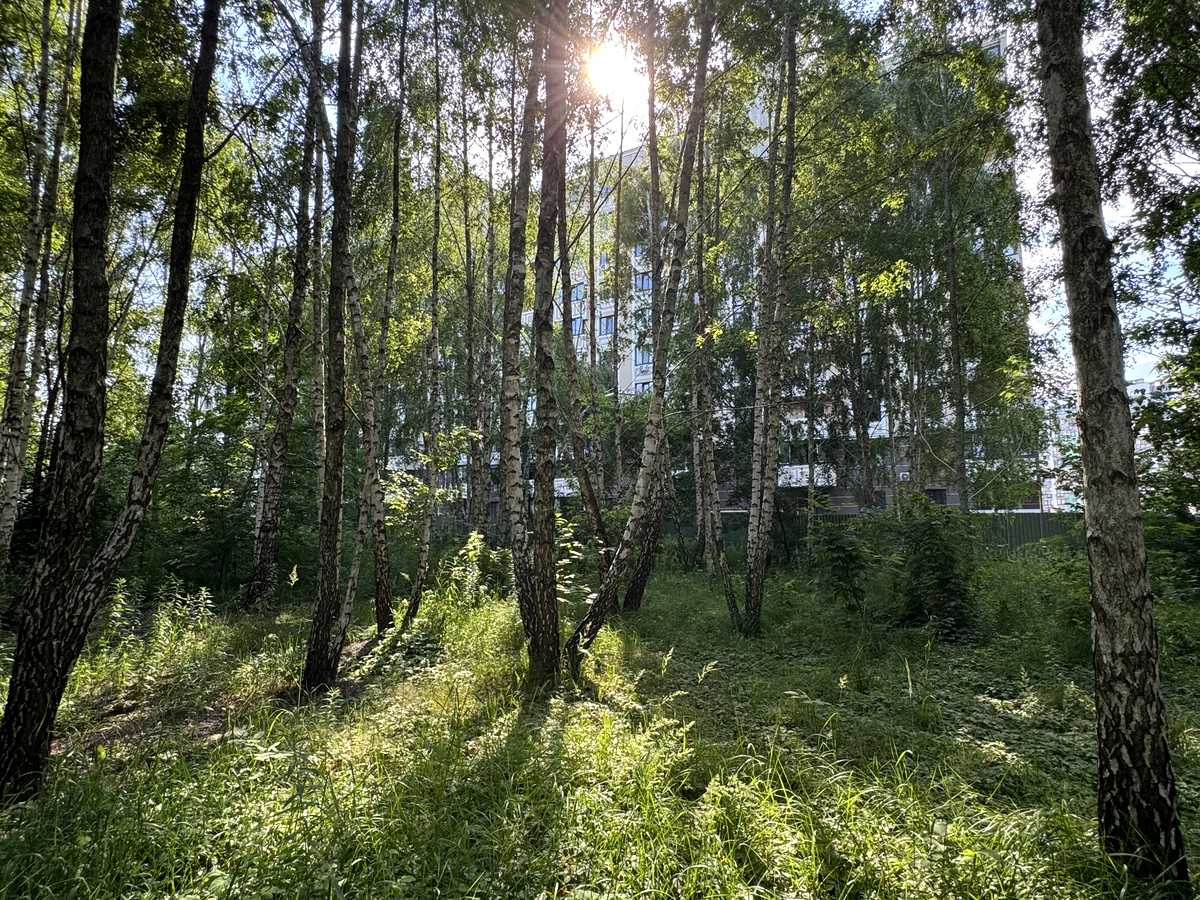 Квартира на вул. Відродження, 3 в Києві, ID 388255, фото №7