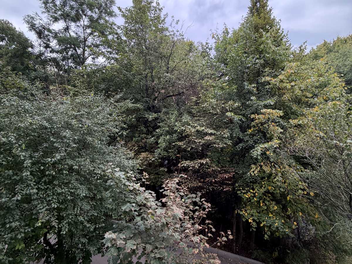 Квартира на вул. Пасічна, 75 в Львові, ID 349141, фото №9