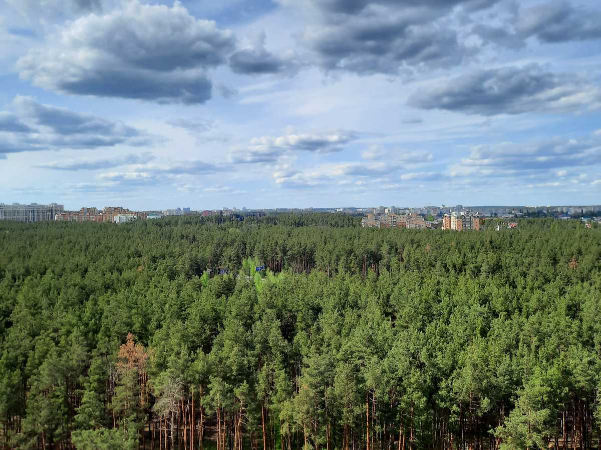 Квартира на вул. Університетська, 1-Б в Києві, ID 350328, фото №11