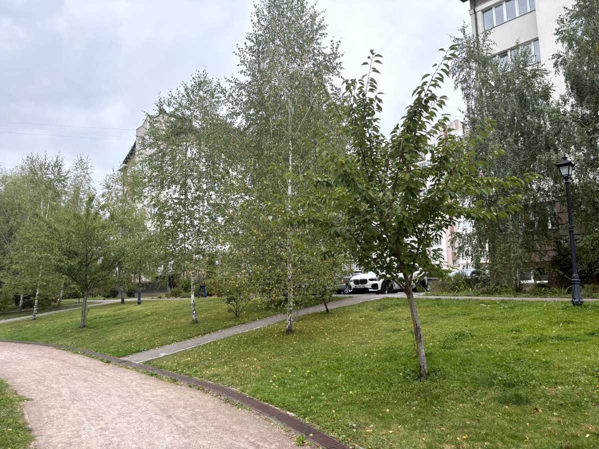 Квартира на бульв. Приозерний, 3 в Києві, ID 389082, фото №16