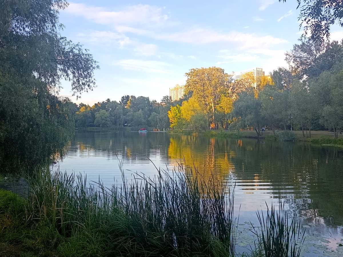 Квартира на вул. Воскресенська, 12-Б в Києві, ID 353733, фото №14