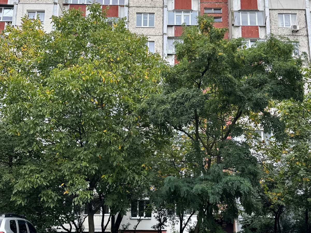 Квартира на вул. Молодіжна, 52 в Івано-Франківську, ID 392625, фото №15