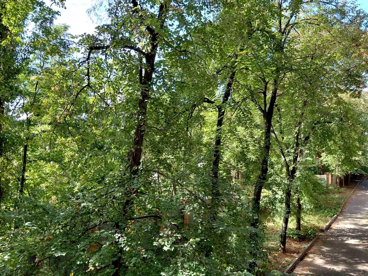 Квартира на Фортечний тупик, 6/8 в Києві, ID 417030, фото №15